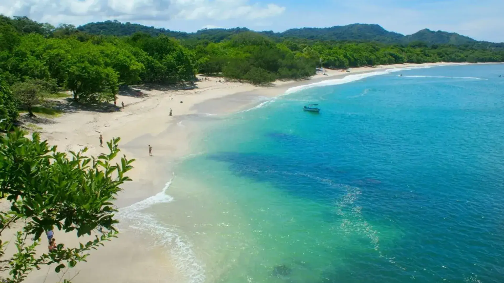 Papagayo