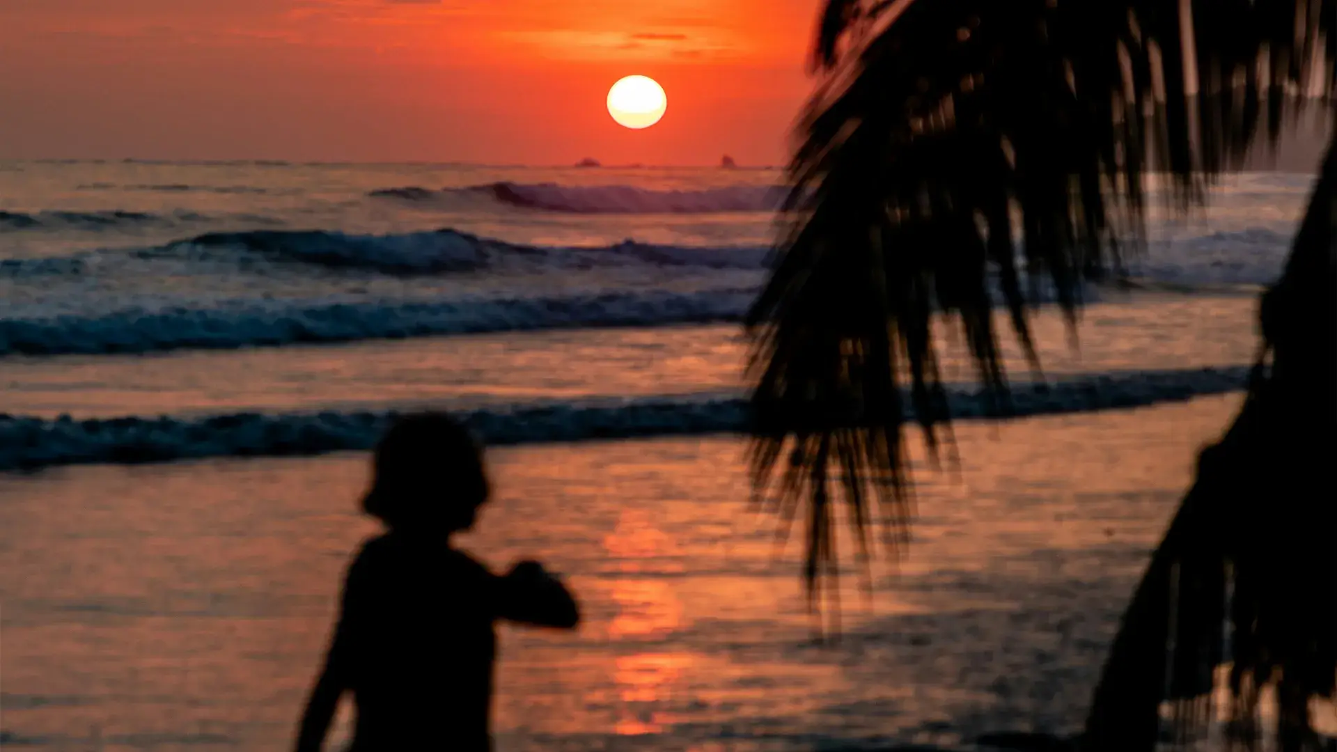 Santa Teresa