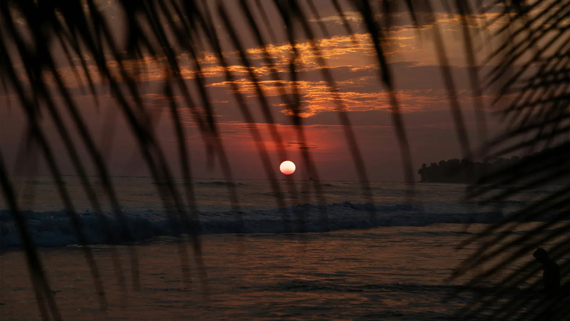 Dominical